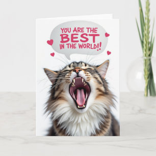 Bester Vater überhaupt Kitty-Schreikarte Karte