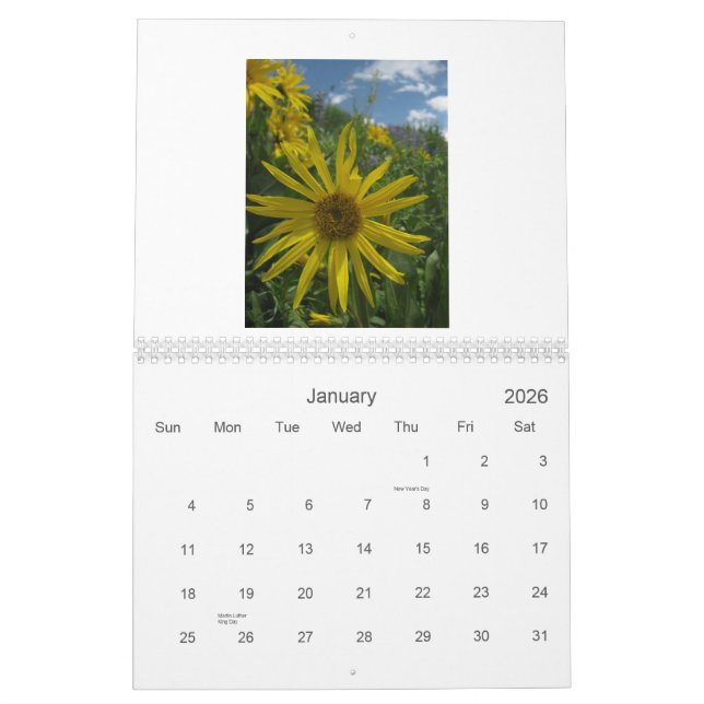 Bestes 2012 Butte-WildblumeVistas mit Haube Kalender (Jan 2026)