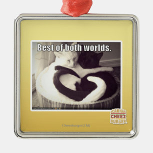 Bestes beider Welten Silbernes Ornament