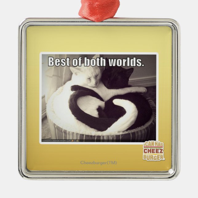 Bestes beider Welten Silbernes Ornament (Vorne)