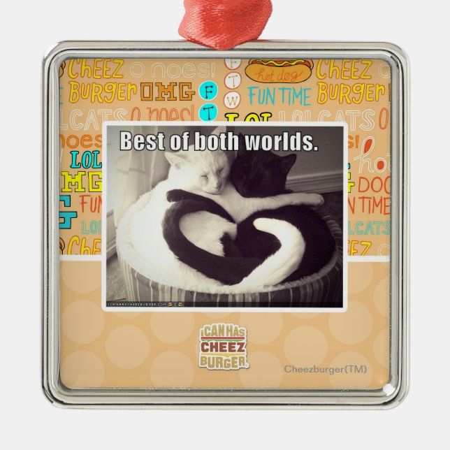 Bestes beider Welten Silbernes Ornament (Vorne)