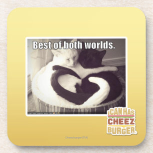 Bestes beider Welten Untersetzer