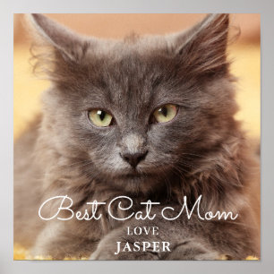 Bestes Cat Mama Foto Poster