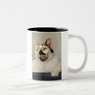 Bestes Cat Mama Foto Zweifarbige Tasse