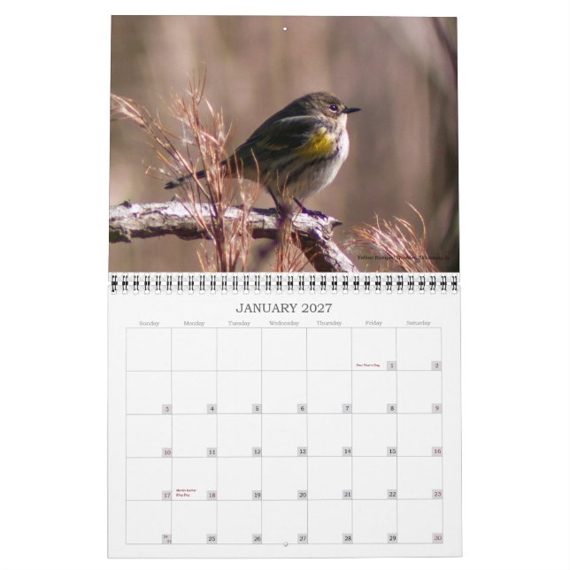 Bestes des Natur-Fotografie-Kalenders Jamie Kalender (Jan 2027)