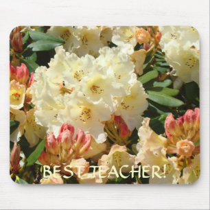 BESTES LEHRER-Geschenk Weihnachten Rhodies-Mauspad Mousepad