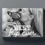 Bestes Pup-Foto für moderne Coole Haustiere Fotoplatte<br><div class="desc">Dieses einfache und moderne Design besteht aus Serifen und kursiver Typografie und fügen Sie ein individuelles Foto Ihrer Schüler</div>