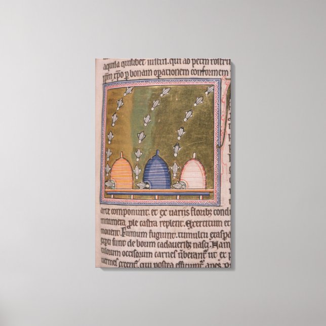 Bestien Drei gekrümmte Linien Leinwanddruck (Vorderseite)