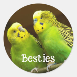 Besties Green and Yellow Parakeets Runder Aufkleber
