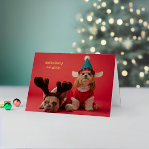 Bestimmt unartige Tier-Foto Süße Weihnachten