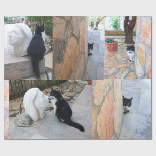 BESTIMMTE KATZE HINTER DER STEINWAND GESCHENKPAPIER