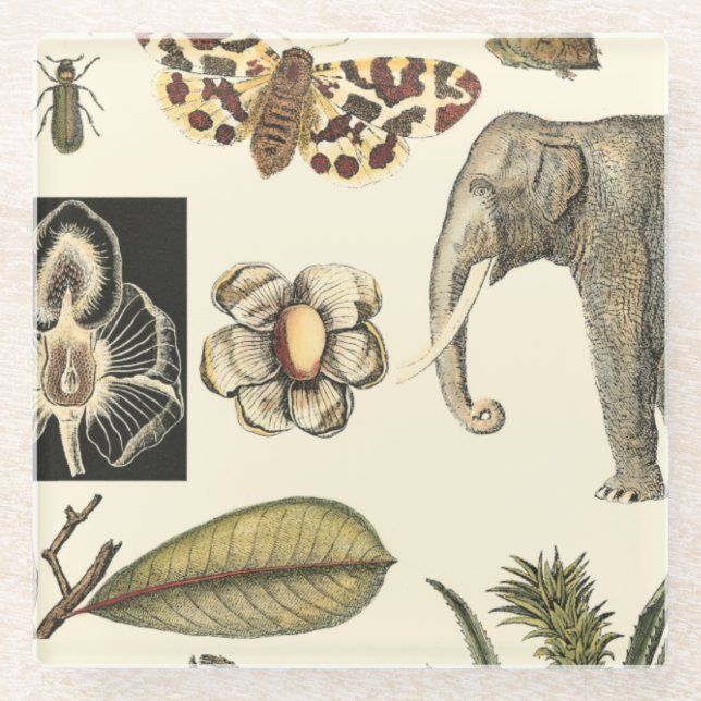 Bestückte Tiere auf Creme-Hintergrund gemalt Glasuntersetzer (Vorderseite)