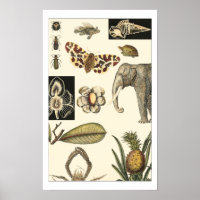 Bestückte Tiere auf Creme-Hintergrund gemalt