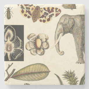 Bestückte Tiere auf Creme-Hintergrund gemalt Steinuntersetzer