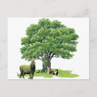 Besuch mit Vatereiche Postkarte