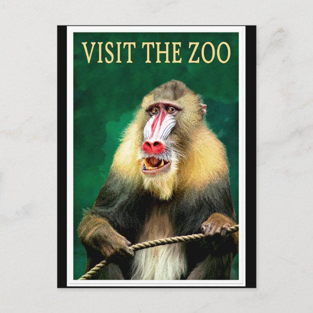 Besuchen Sie den Zoo, das Vintage-Reiseplakat Postkarte (Vorderseite)