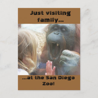 Besuchen Sie Familie im San Diego Zoo Postcard Postkarte