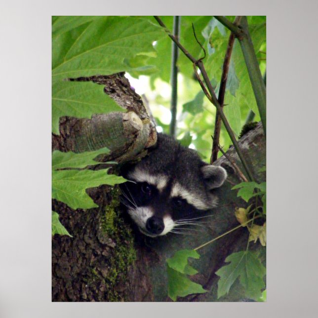 Besucher Poster (Vorne)