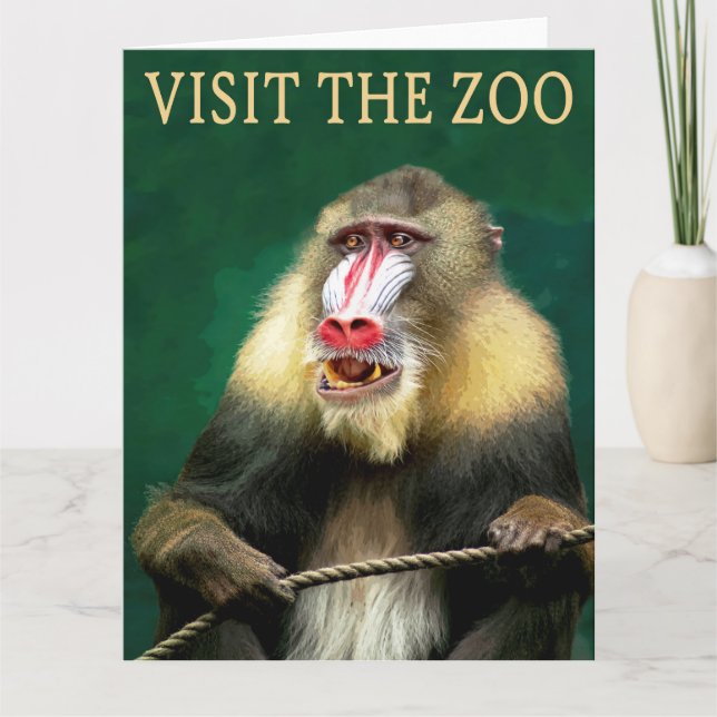 Besucht den Mandrill im Zoo Karte (Vorderseite)