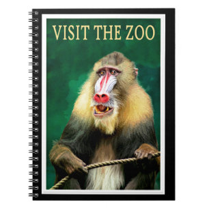 Besucht den Zoo, Vintage-Reiseposter Notizblock