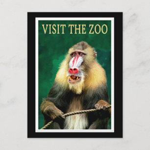Besucht den Zoo, Vintage-Reiseposter Postkarte