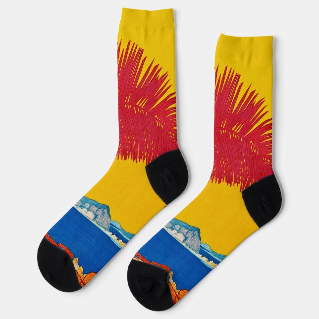 Besucht Südamerika Vintage-Konzept Socken (Linkes Detail)