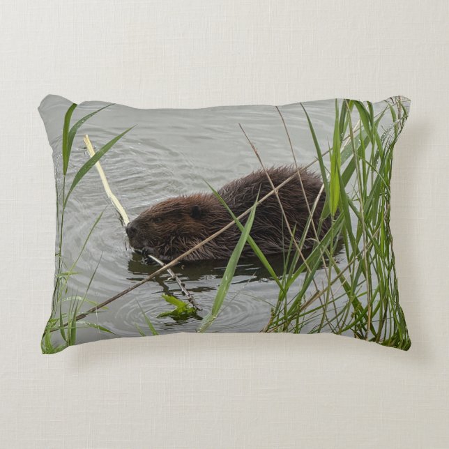Besy Beaver Accent Pillow Dekokissen (Vorderseite)