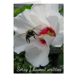 Besy Bee Card