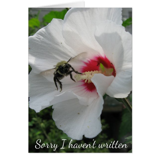 Besy Bee Card (Vorne)