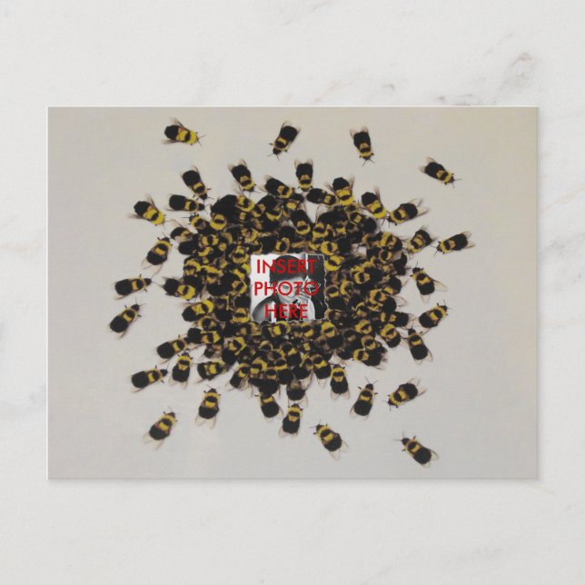 Besy Bee FOTO INSERT ~ Postcard Postkarte (Vorderseite)