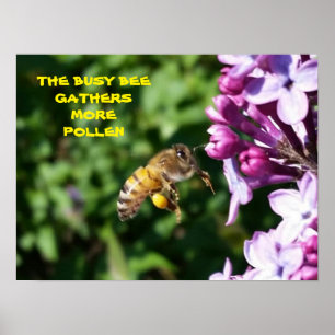 Besy Bee - Mitarbeiter Motivierend Poster