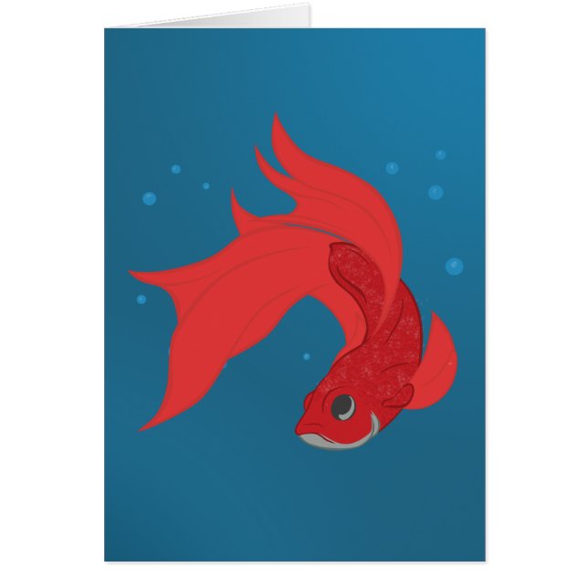 Beta Fish (Vorne)