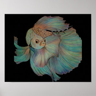Beta Fish von Carol Zeock Poster