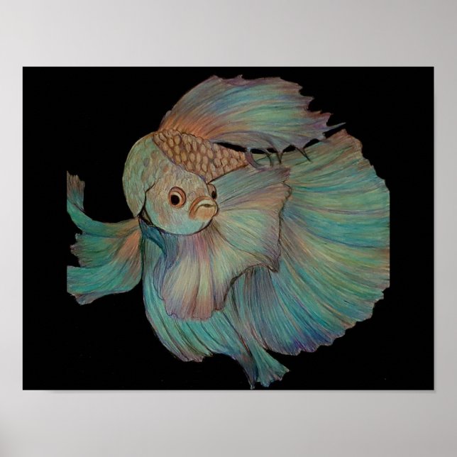 Beta Fish von Carol Zeock Poster (Vorne)