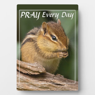 Bete jeden Tag Chipmunk Fotoplatte