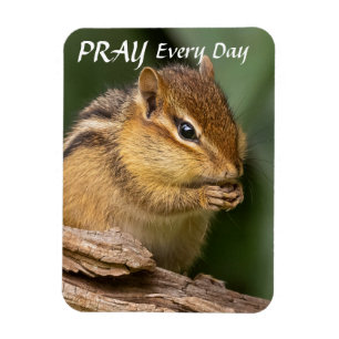 Bete jeden Tag Chipmunk Magnet