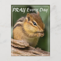 Bete jeden Tag Chipmunk