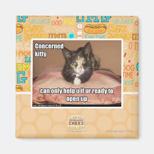 Beteiligte Miezekatze Magnet