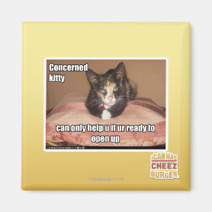 Beteiligte Miezekatze Magnet