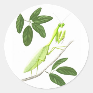 Beten der Mantis-Aufkleber Runder Aufkleber