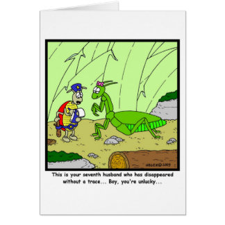Betender Mantis