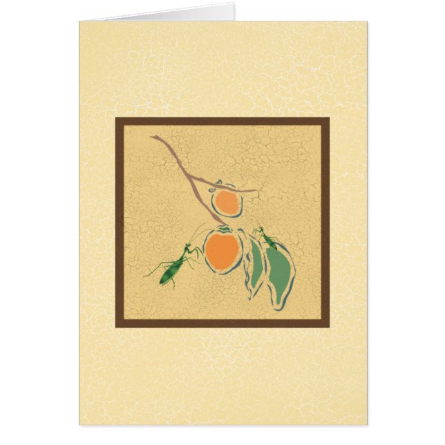 Betender Mantis (Vorne)