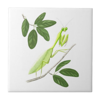 Betender Mantis-Fliese Fliese