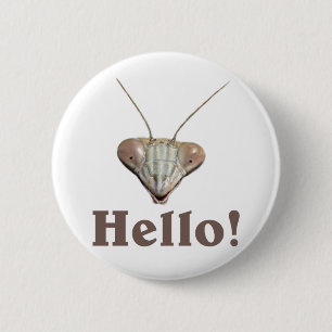 Betender Mantis hallo Button