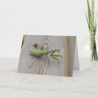Betender Mantis Karte