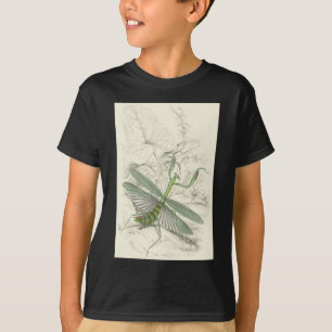 Betender Mantis, Mantis Religiosa T-Shirt
