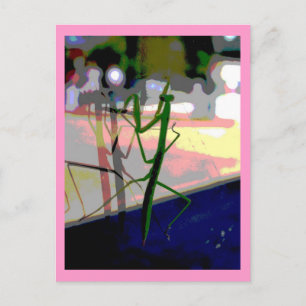 Betender Mantis Postkarte