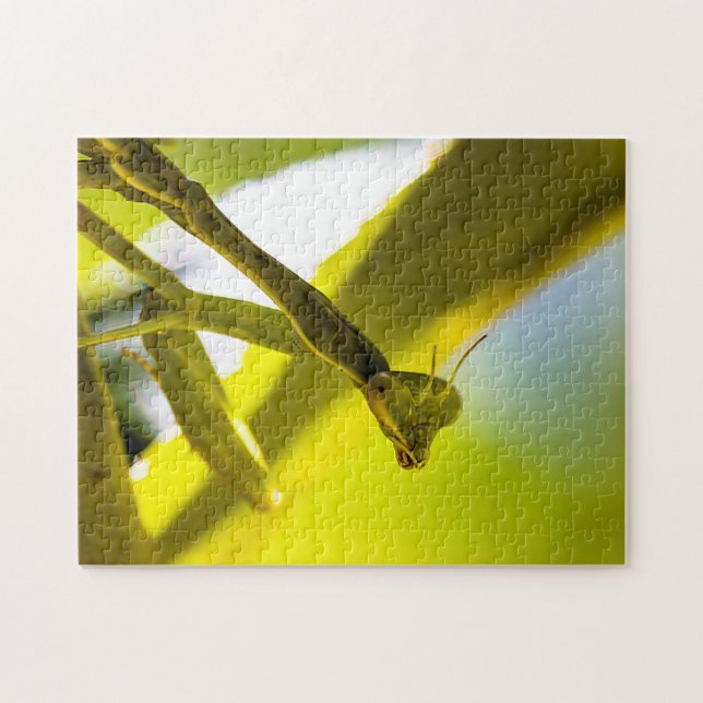 Betender Mantis-Puzzle Puzzle (Horizontal)