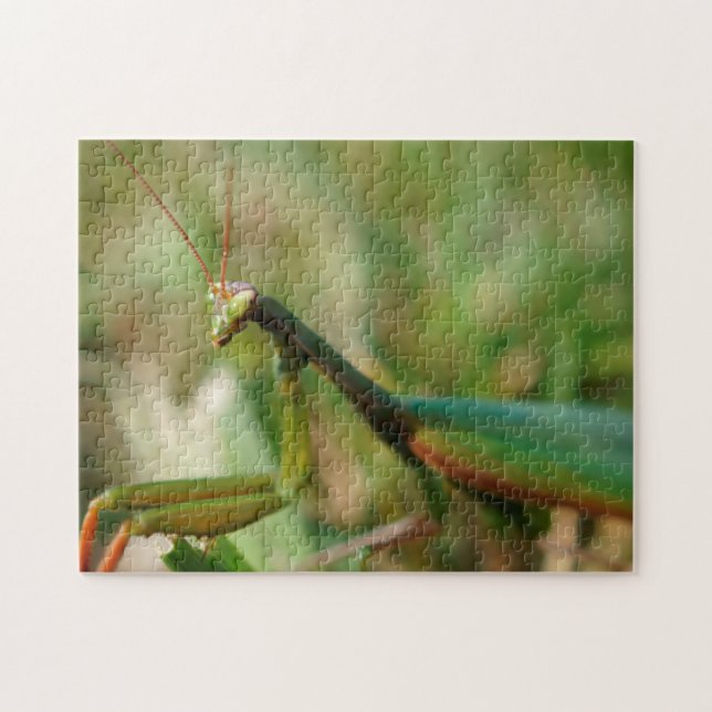 Betender Mantis, Puzzlespiel des Foto-11x14 mit Puzzle (Horizontal)