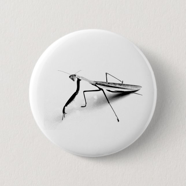 Betender Mantis-Sammlung Button (Vorderseite)
